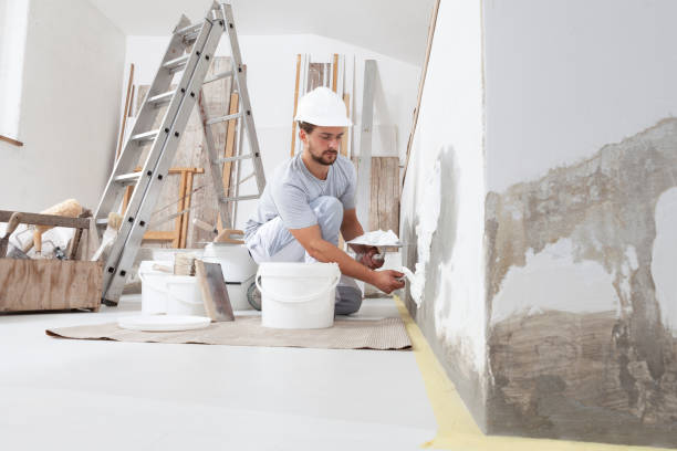 Best Attic Mold Removal  in Noblesville, IN