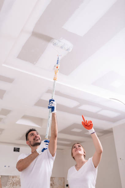 Best Mold Odor Removal Services  in Noblesville, IN
