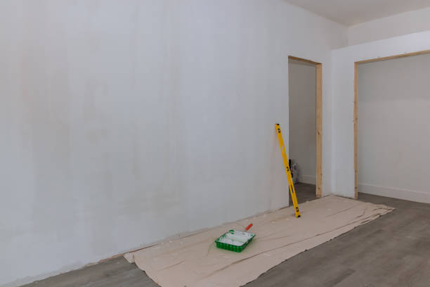 Professional Mold Removal in Noblesville, IN