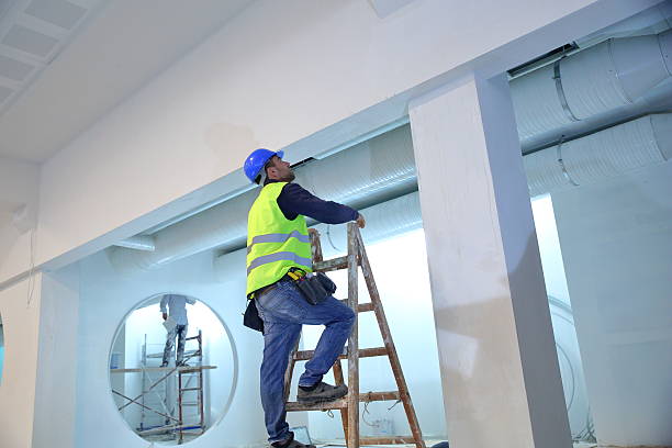 Best Mold Remediation for Healthcare Facilities  in Noblesville, IN
