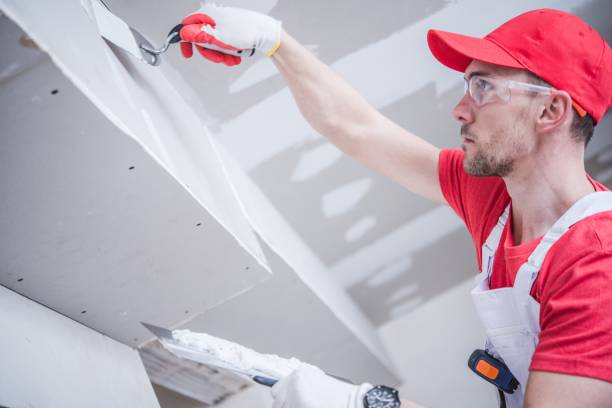 Best Forensic Mold Investigation  in Noblesville, IN